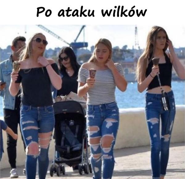 Po ataku wilków