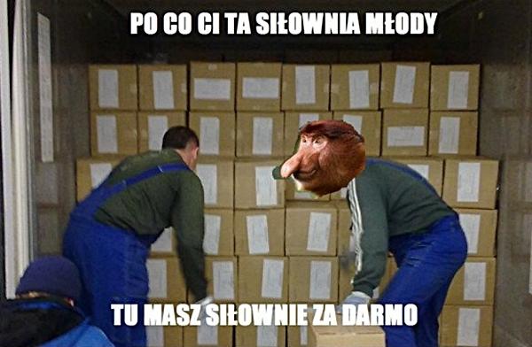 Po co Ci siłownia, młody? Tu masz siłownie za darmo