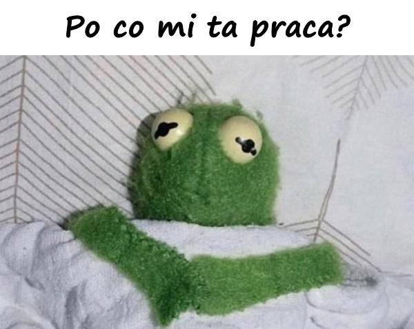 Po co mi ta praca