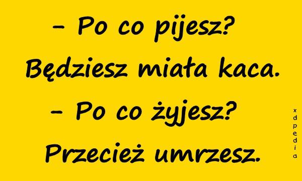 - Po co pijesz? Będziesz miała kaca. - Po co żyjesz