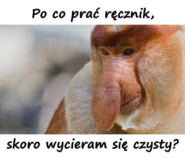 Po co prać ręcznik, skoro wycieram się czysty