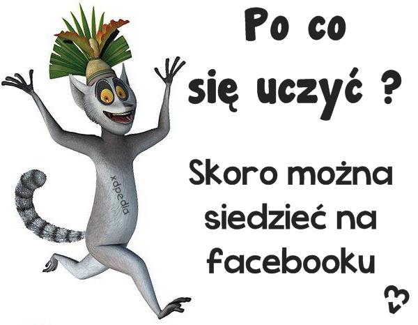 Po co się uczyć? Skoro można siedzieć na facebooku