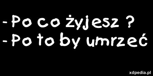 - Po co żyjesz? - Po to by umrzeć