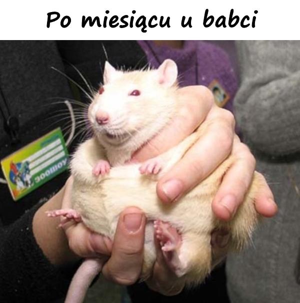 Po miesiącu u babci