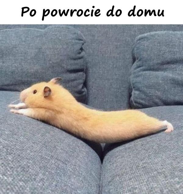 Po powrocie do domu