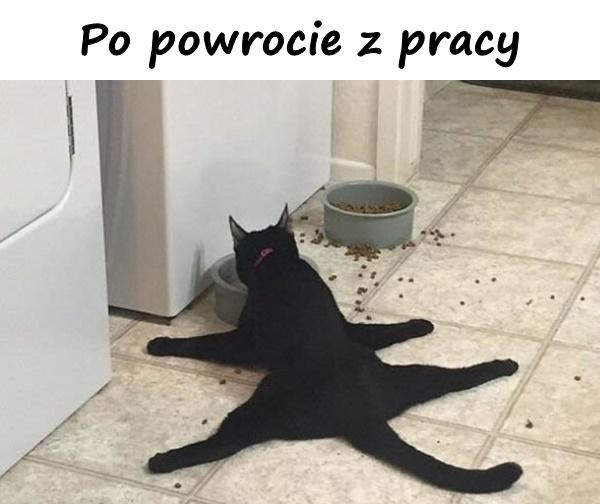 Po powrocie z pracy