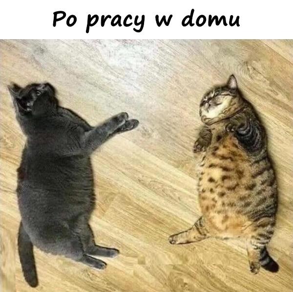 Po pracy w domu