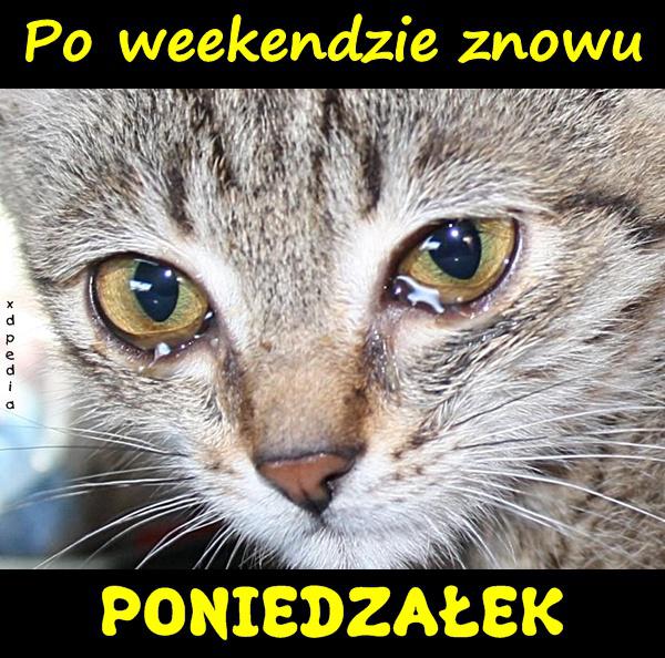 Po weekendzie znowu PONIEDZAŁEK