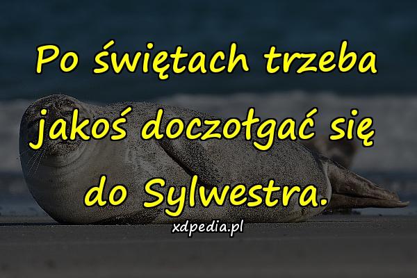 Po świętach trzeba jakoś doczołgać się do Sylwestra