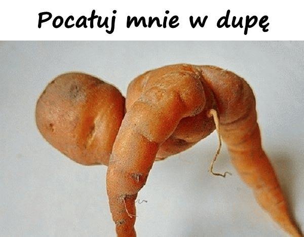 Pocałuj mnie w dupe