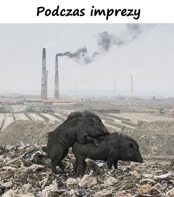 Podczas imprezy