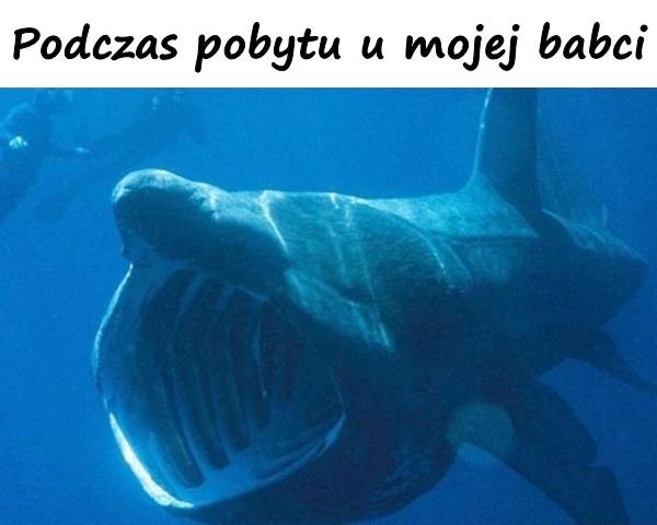 Podczas pobytu u mojej babci