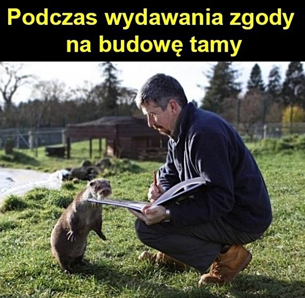 Podczas wydawanie zgody na budowę tamy