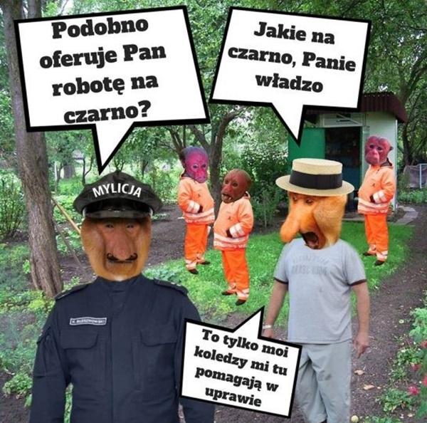 - Podobno oferuje Pan robotę na czarno? - Jakie na czarno