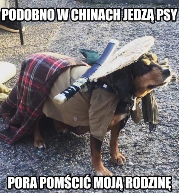 Podobno w Chinach jedzą psy, pora pomścić moją rodzinę