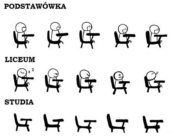 Podstawówka, liceum i studia