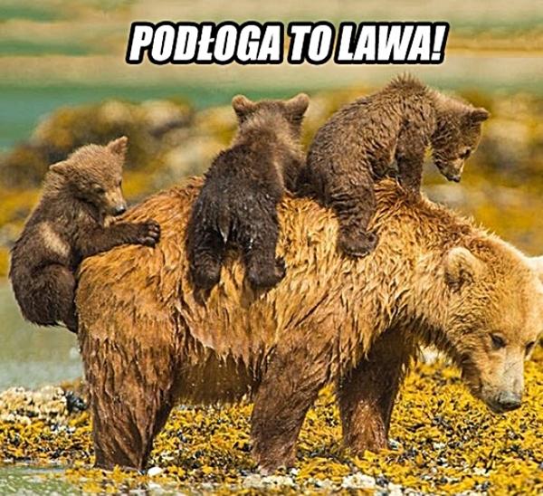 Podłoga to lawa