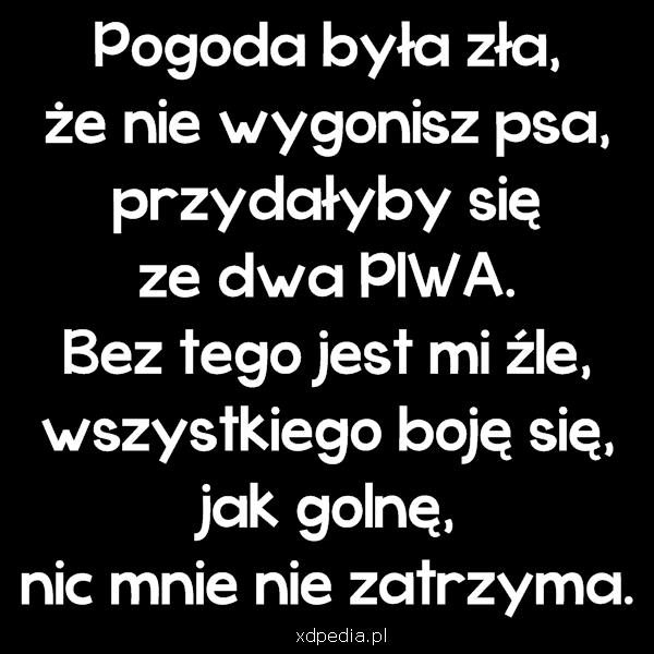 Pogoda była zła, że nie wygonisz psa, przydałyby się ze dwa