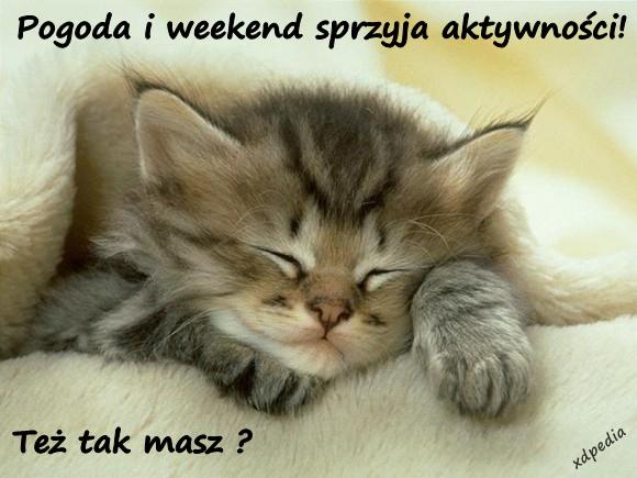 Pogoda i weekend sprzyja aktywności! Też tak masz