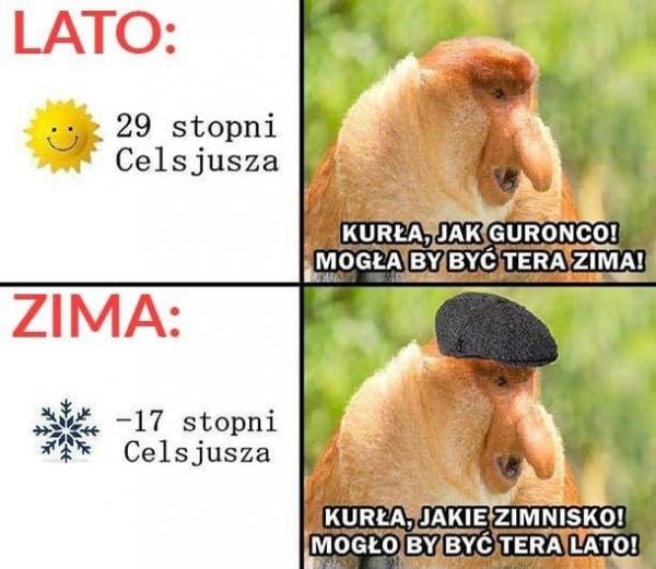Pogodowy Janusz