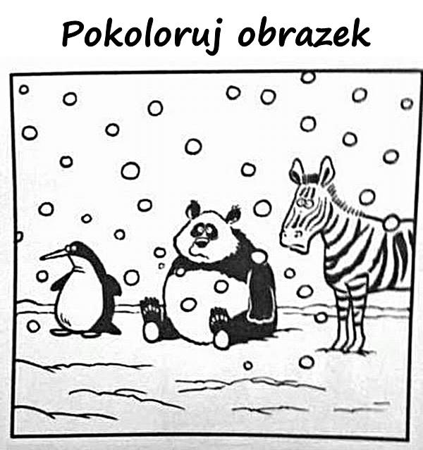 Pokoloruj obrazek