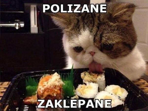 Polizane zaklepane