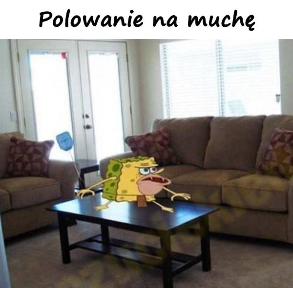 Polowanie na muchę