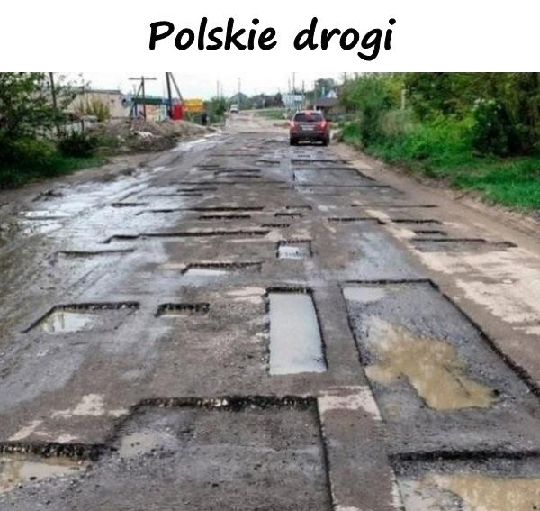 Polskie drogi