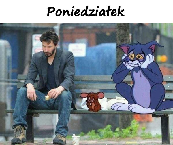 Poniedziałek