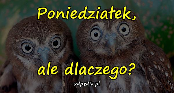 Poniedziałek, ale dlaczego