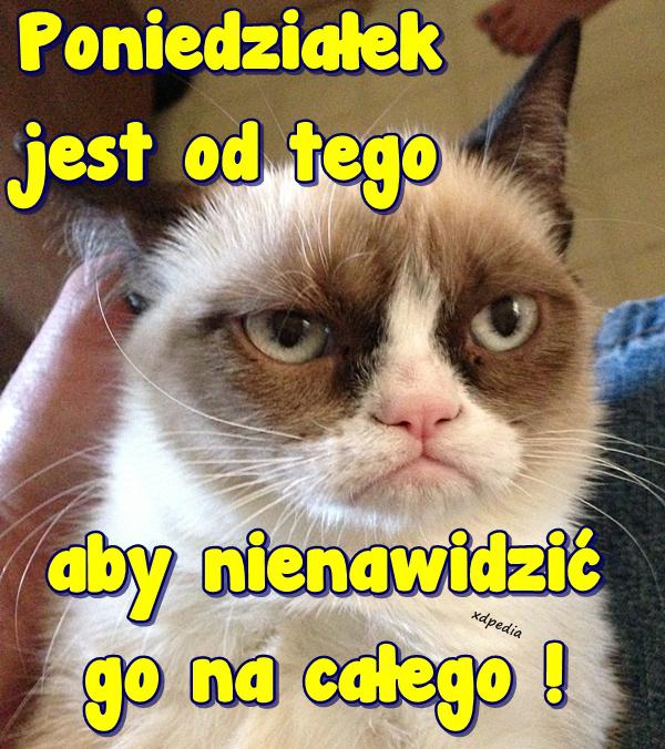 Poniedziałek jest od tego aby nienawidzić go na całego