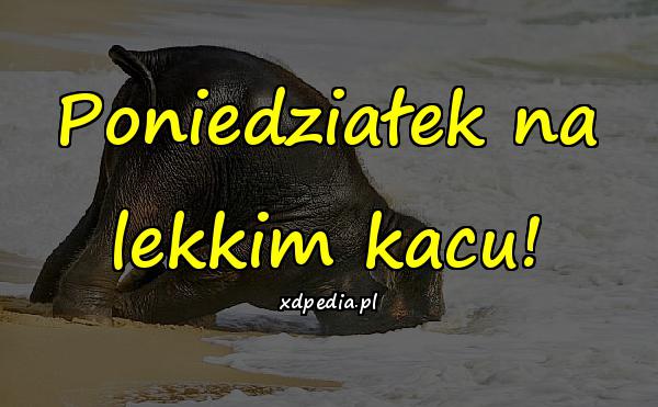 Poniedziałek na lekkim kacu