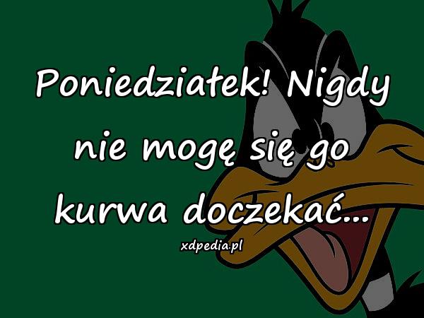 Poniedziałek! Nigdy nie mogę się go kurrwa doczekać
