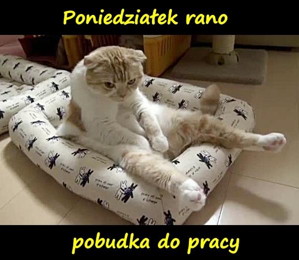 Poniedziałek rano - pobudka do pracy