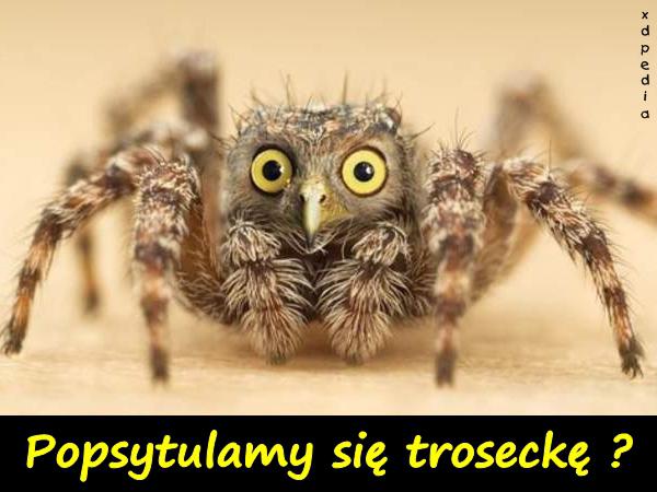 Popsytulamy się troseckę