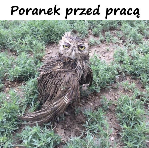 Poranek przed pracą