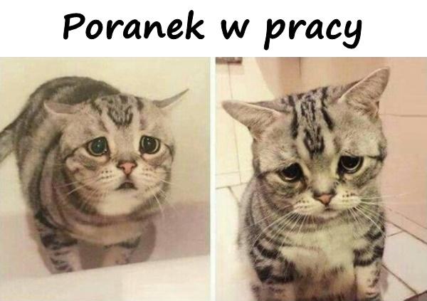 Poranek w pracy