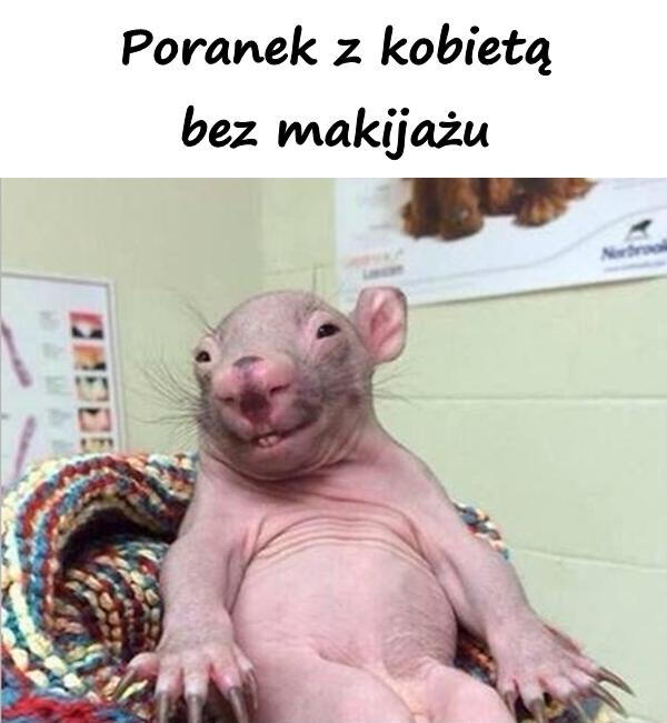 Poranek z kobietą bez makijażu