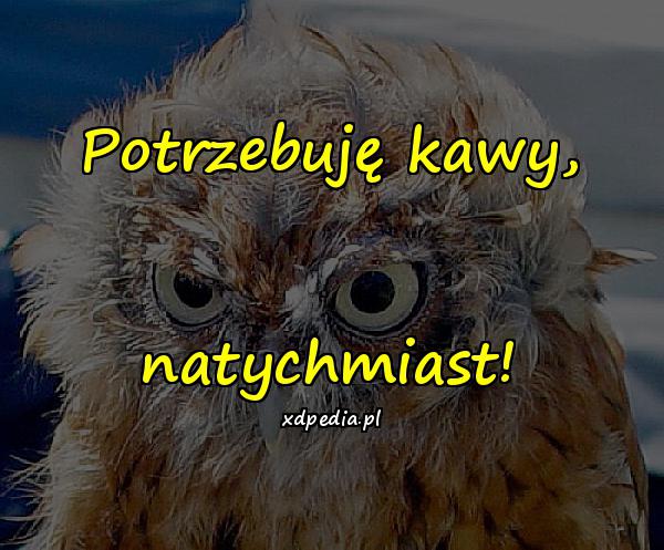 Potrzebuję kawy, natychmiast