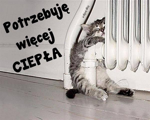 Potrzebuję więcej CIEPŁA