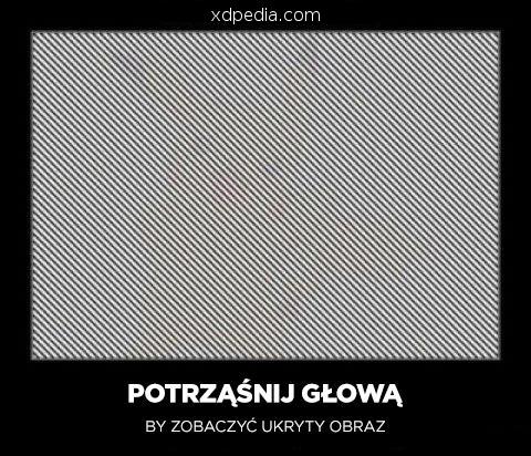 Potrząśnij głową by zobaczyć ukryty obraz