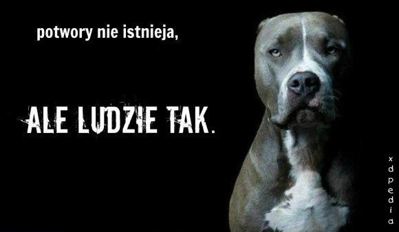 Potwory nie istnieją, ale ludzie tak