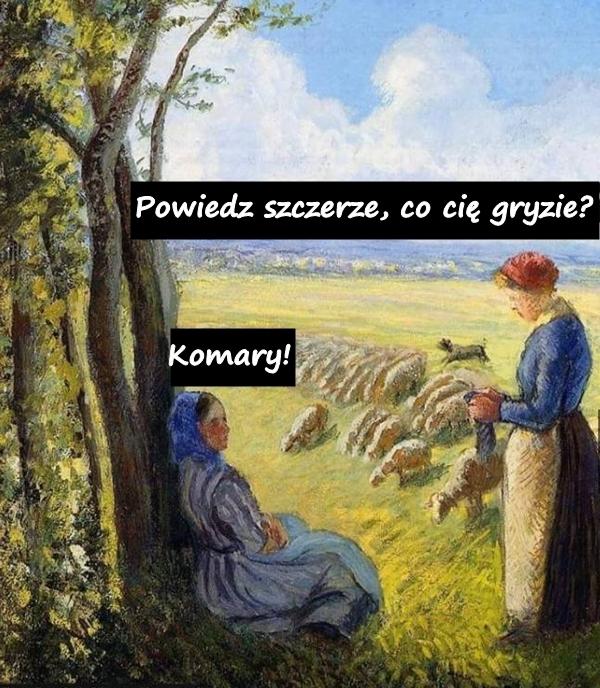 Powiedz szczerze, co cię gryzie? Komary