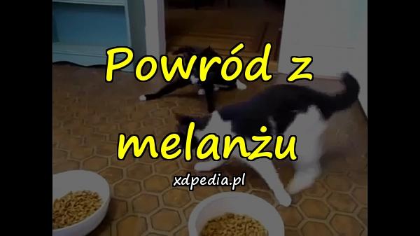 Powród z melanżu