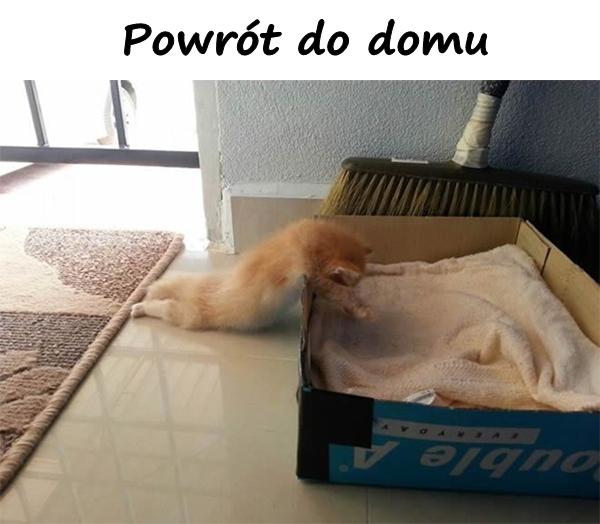 Powrót do domu