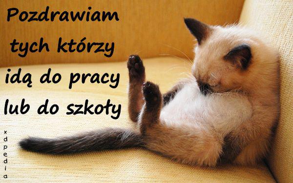 Pozdrawiam tych, którzy idą do pracy lub do szkoły