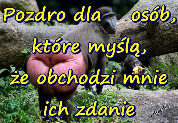 Pozdro dla osób, które myślą, że obchodzi mnie ich zdanie