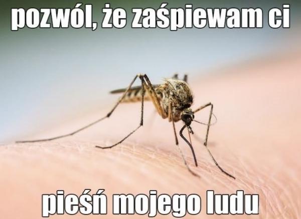 Pozwól, że zaśpiewam Ci pieśń mojego ludu