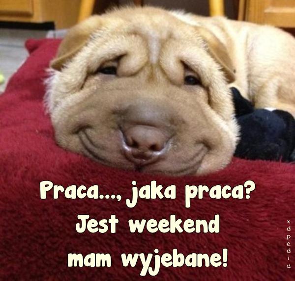 Praca..., jaka praca? Jest weekend i mam wyjebane