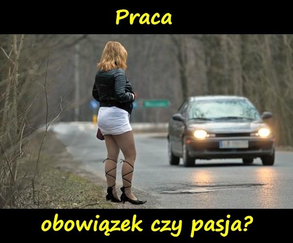 Praca, obowiązek czy pasja